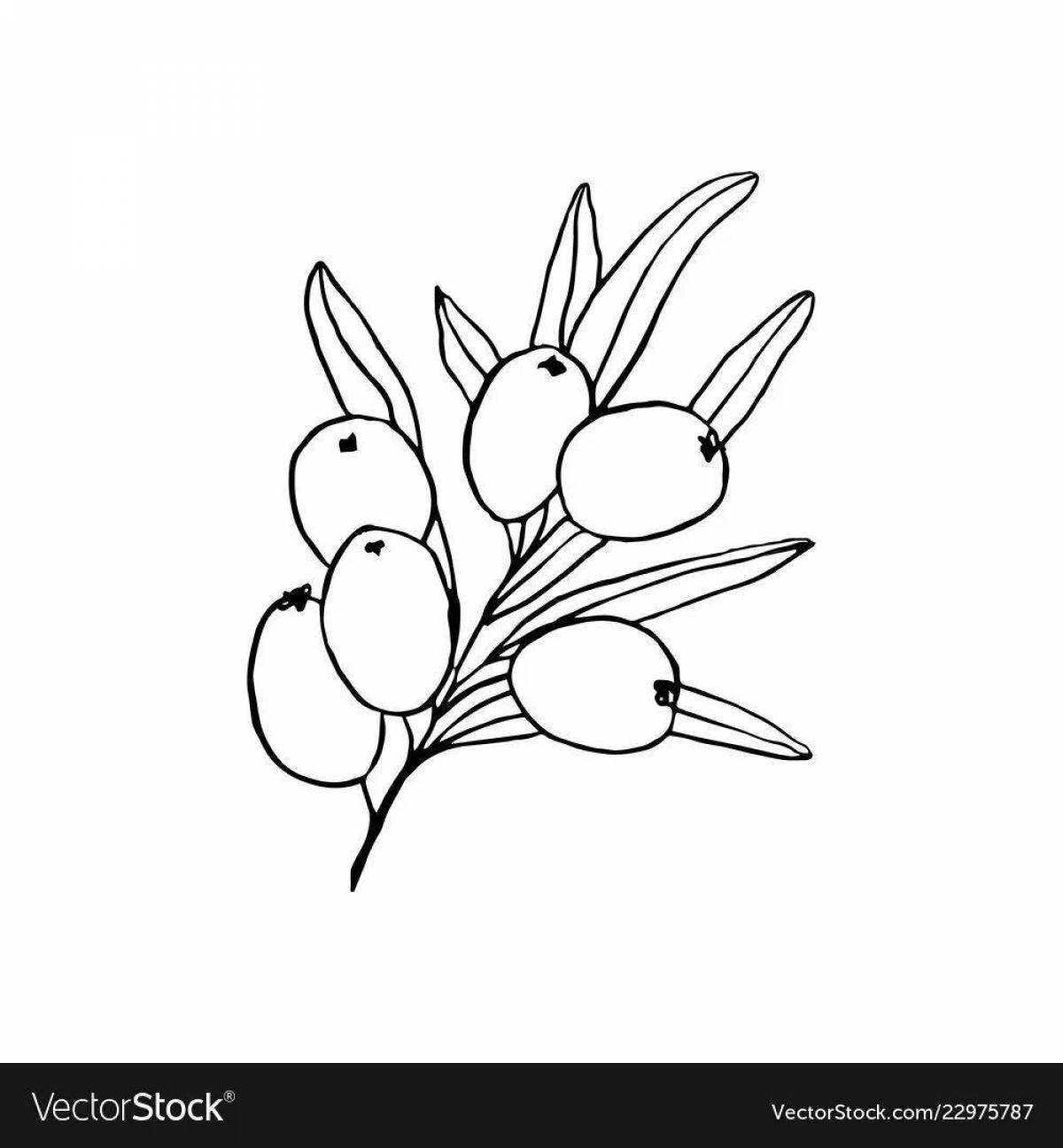 Great sea buckthorn coloring book for kids