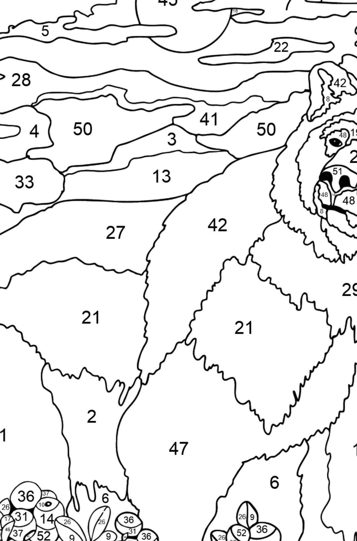 Entertaining bear by numbers coloring