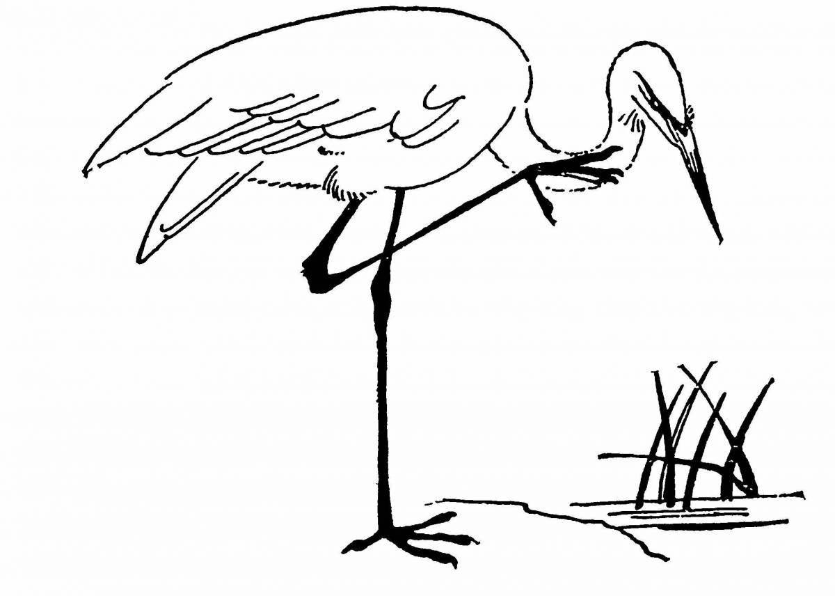 Great heron coloring page