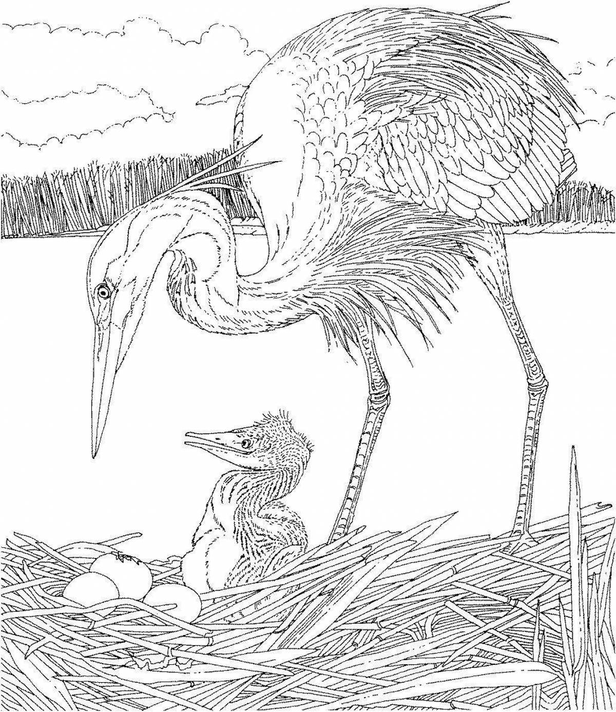 Heron and crane #8