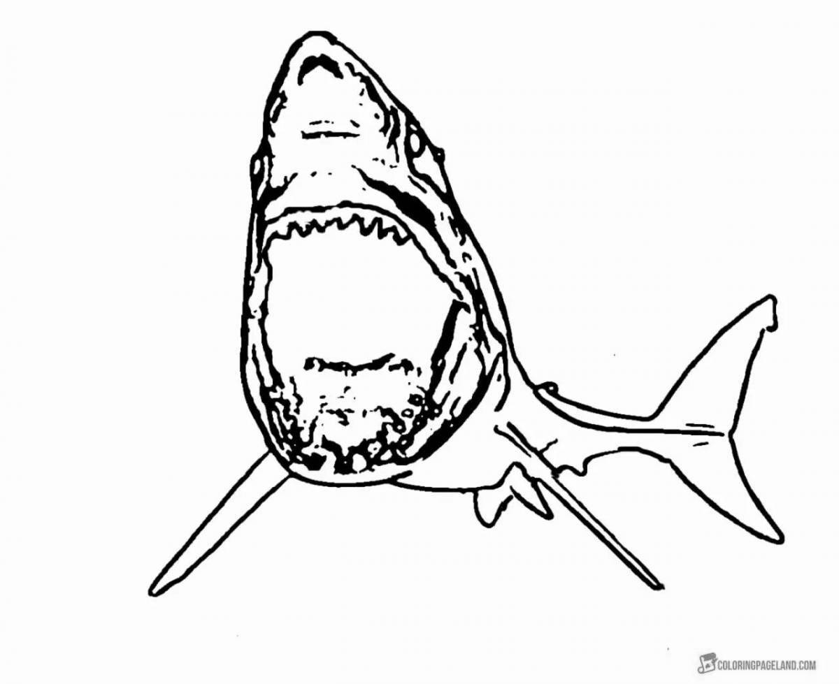 Megalodon incredible coloring book for kids