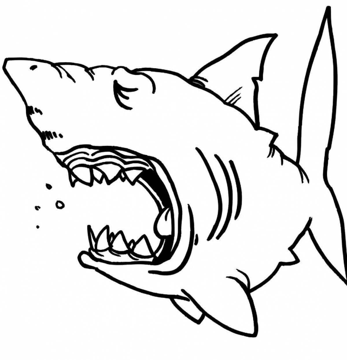 Megalodon fantasy coloring book for kids