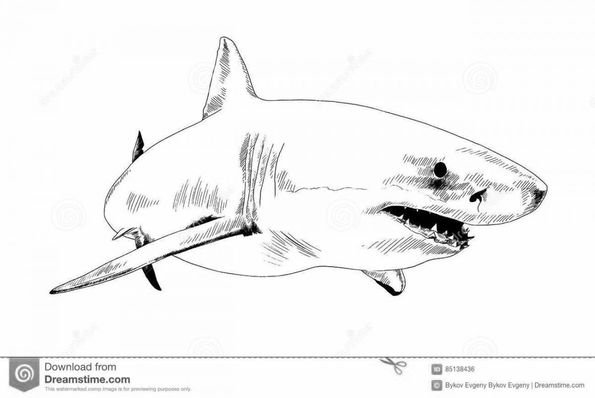 Great megalodon coloring book for kids