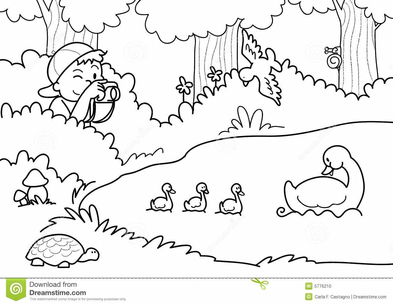 Coloring poster lovely save nature