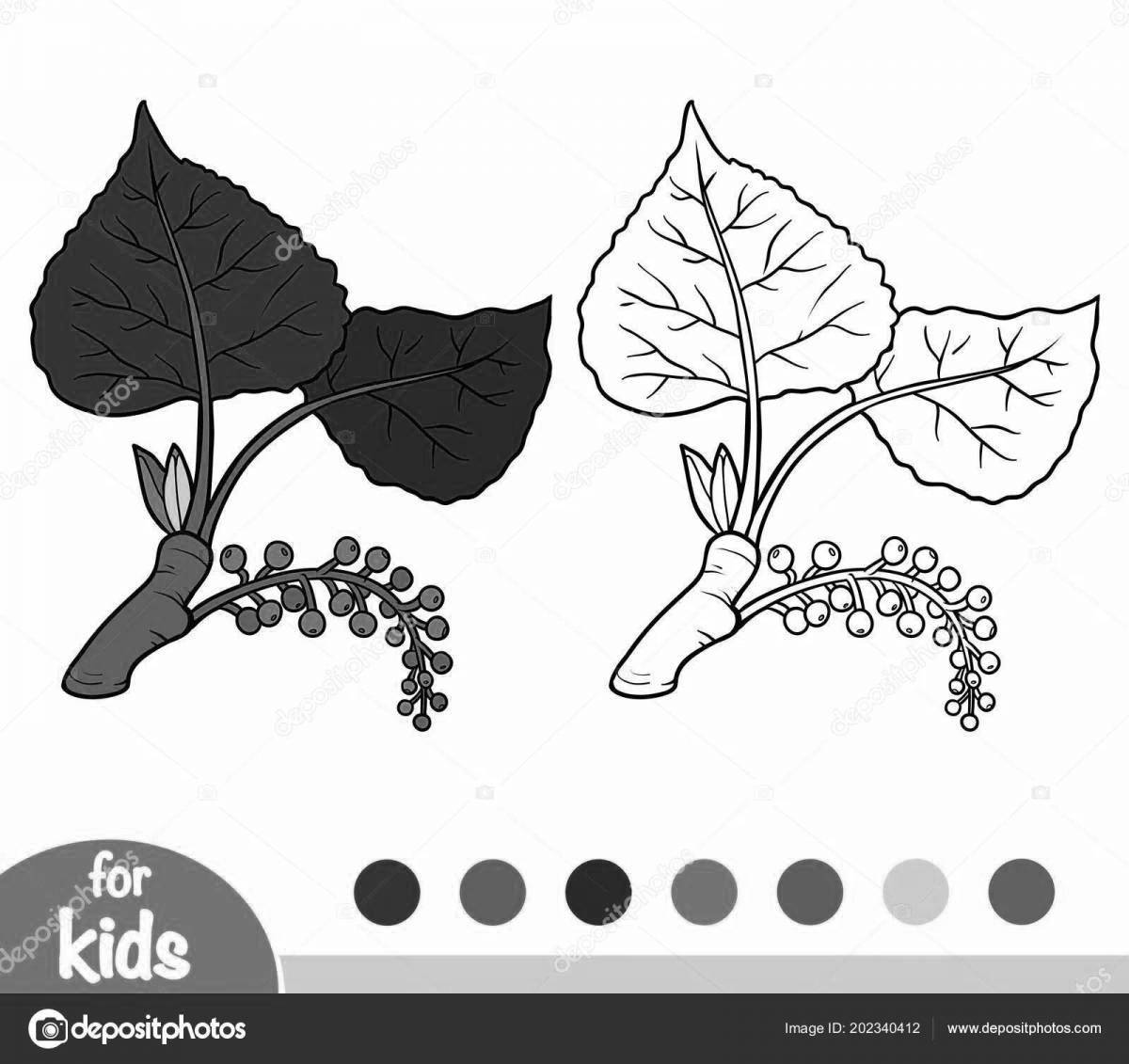 Тополь Разукрашки Для Детей На Прозрачном Фоне - 68 фото