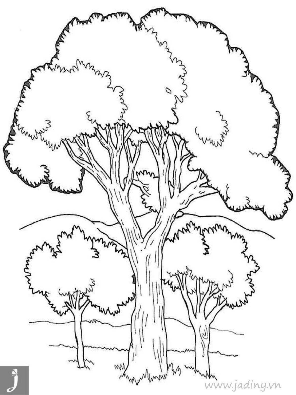 Рисунок раскраска дерево с кроной