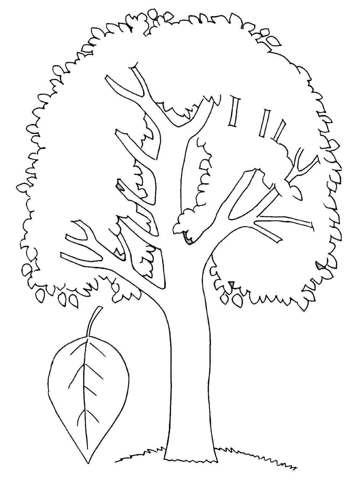 Раскраска дерево осина для детей