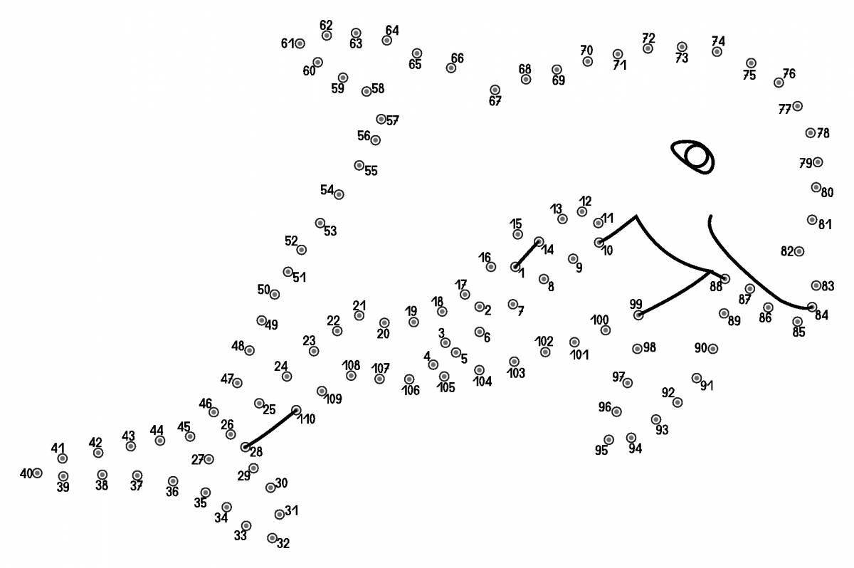Fascinating coloring connect by numbers