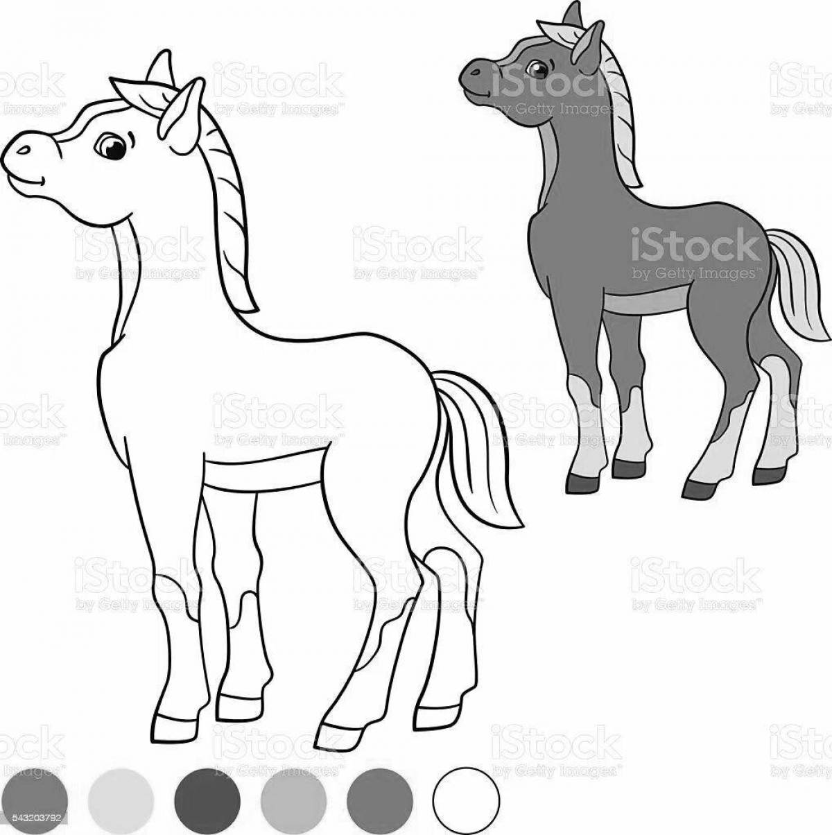 Adorable foal coloring book for kids