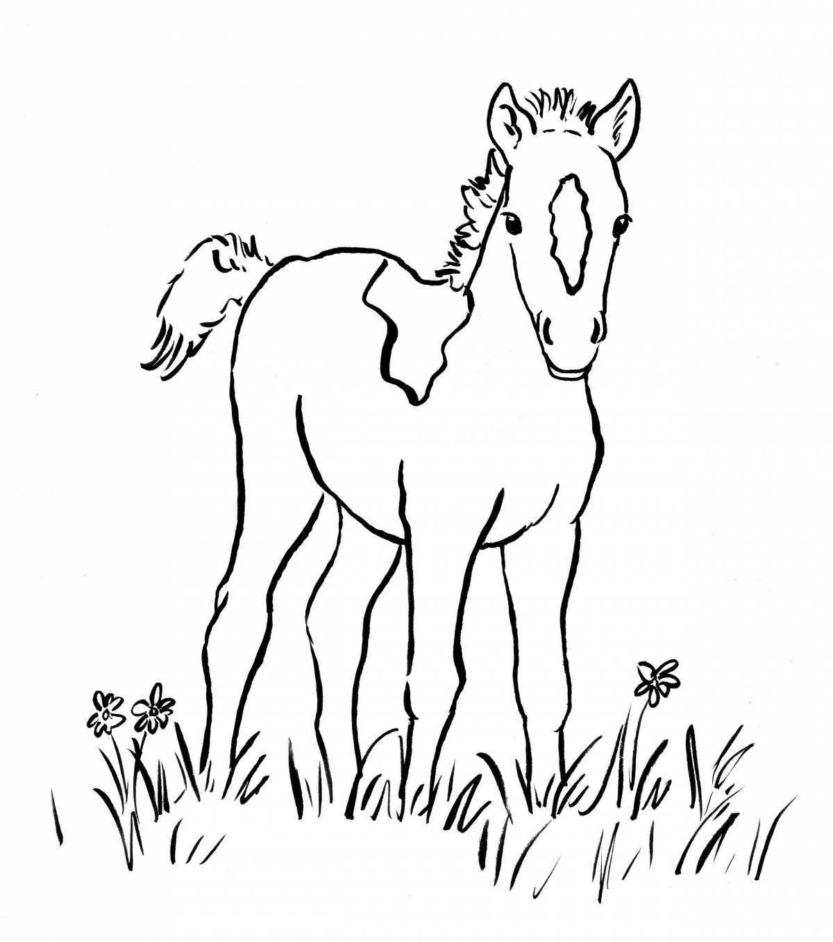 Joyful foal coloring for kids