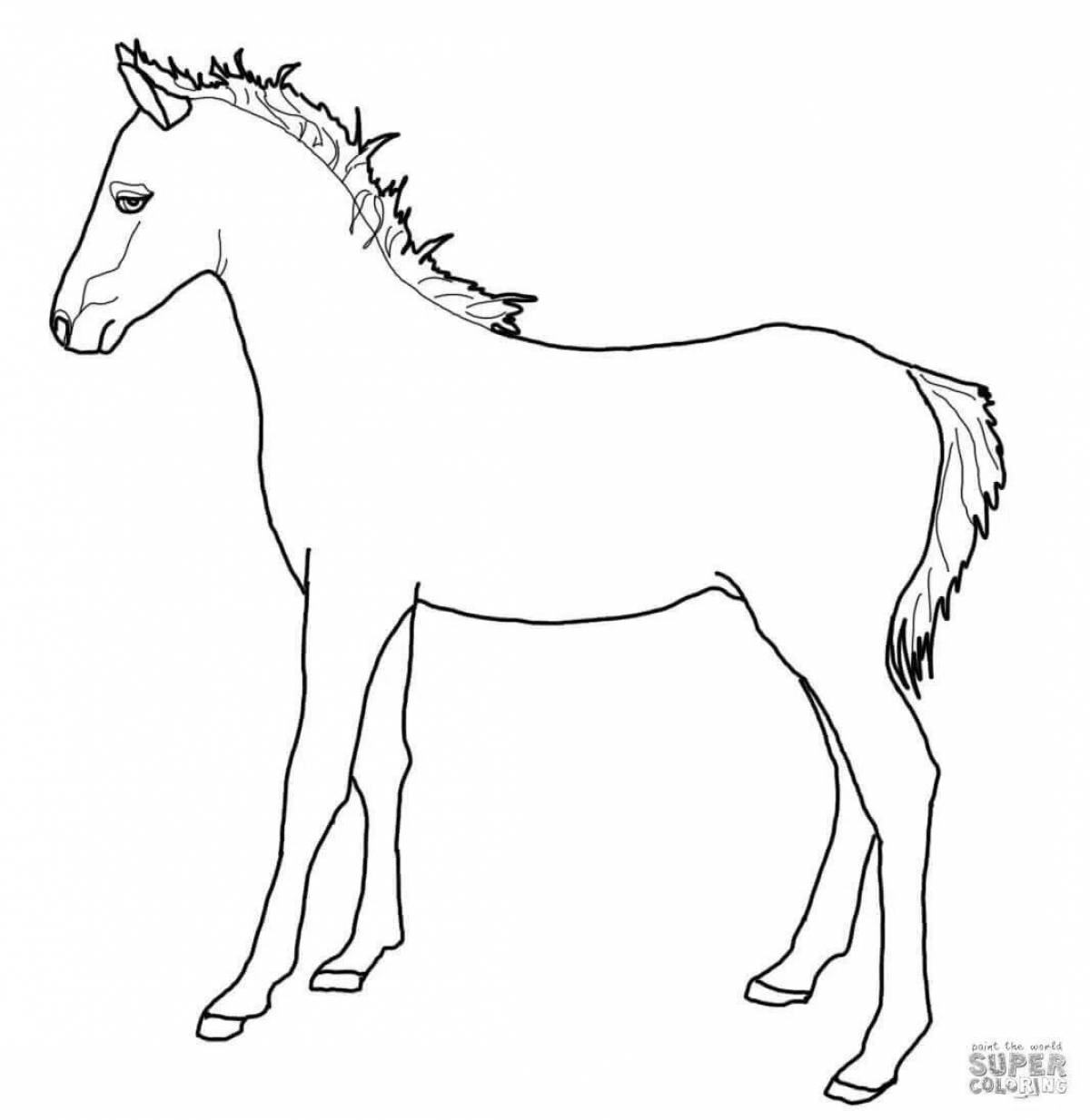 Playful colt coloring page for kids