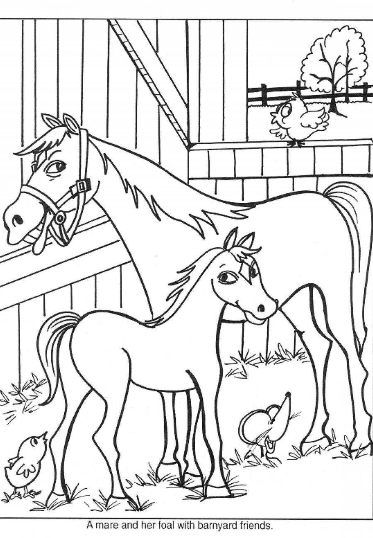 Sweet colt coloring for kids