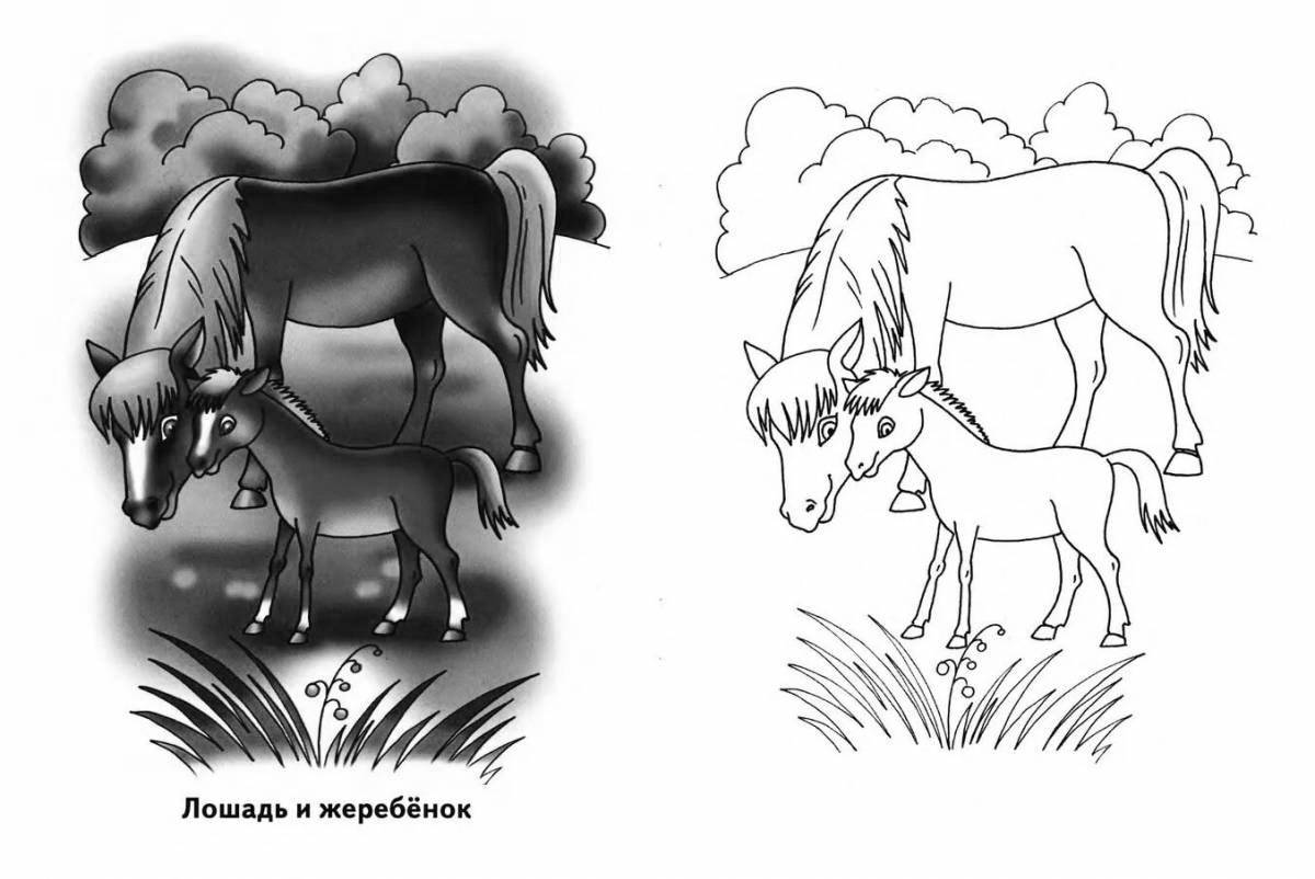 Cute foal coloring page for kids