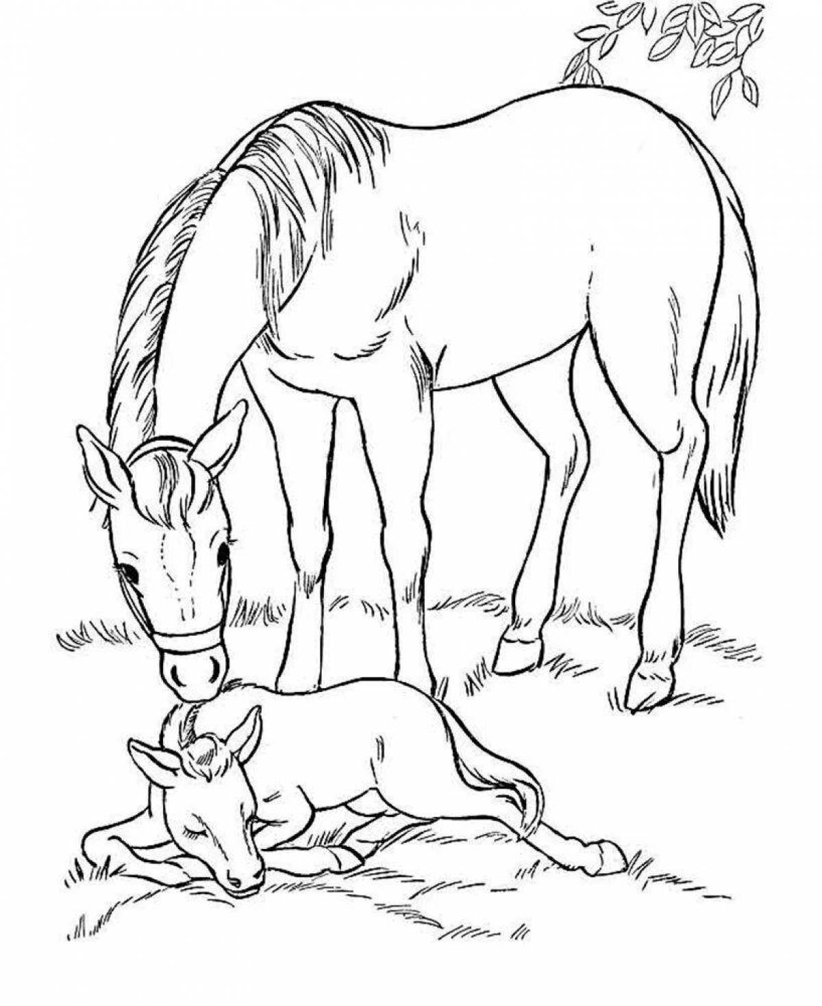 Adorable colt coloring page for kids