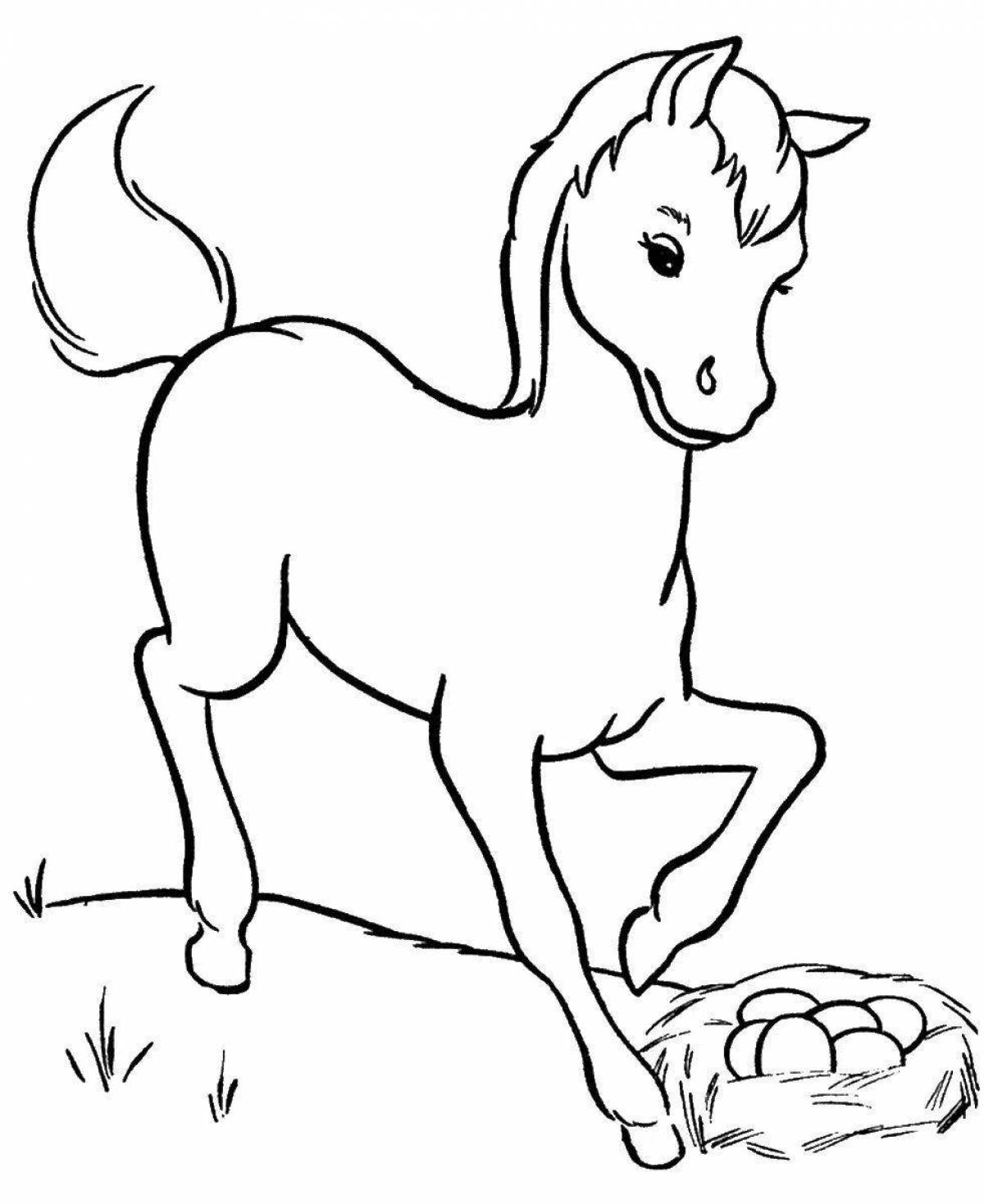 Cute foal coloring for kids