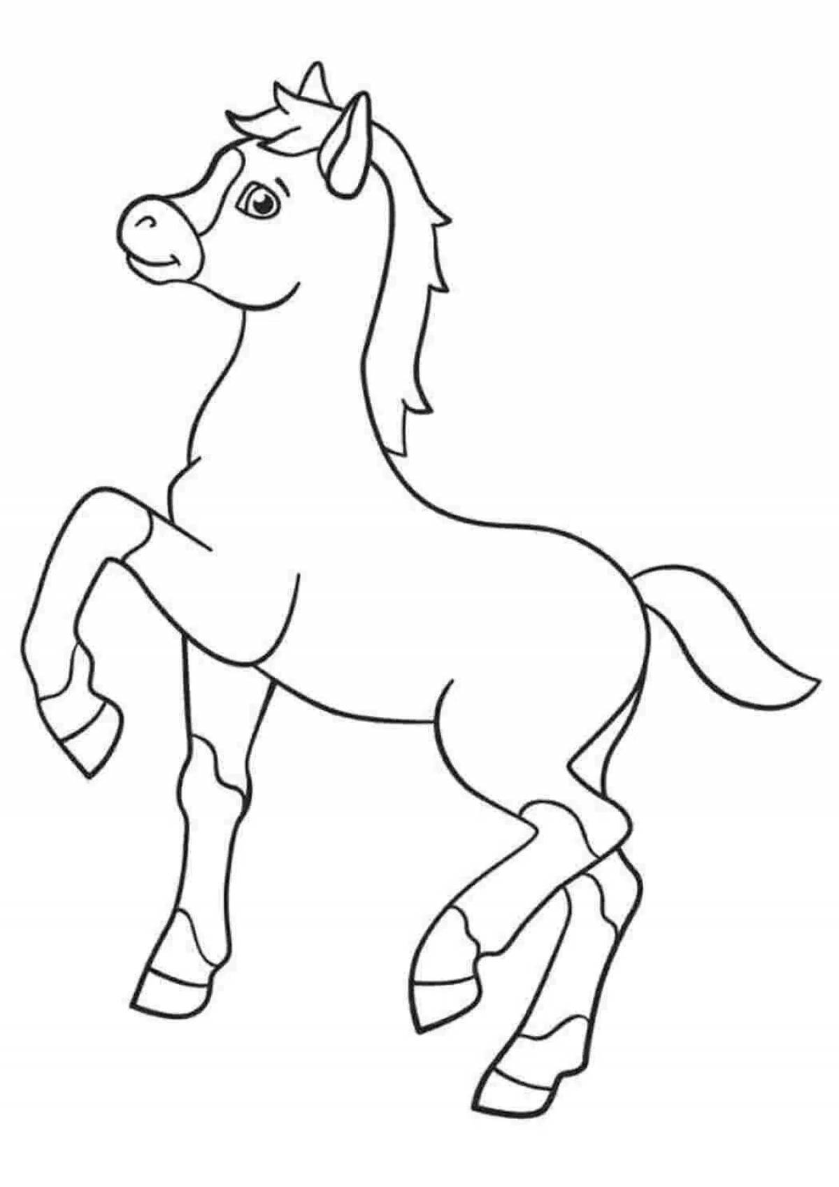Exquisite foal coloring book for kids