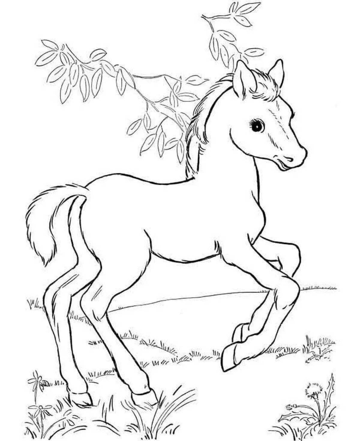 Colorful foal coloring page for kids