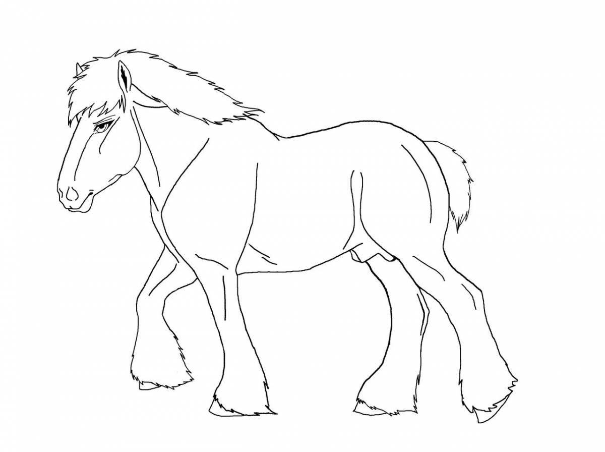 Vibrant foal coloring page for kids