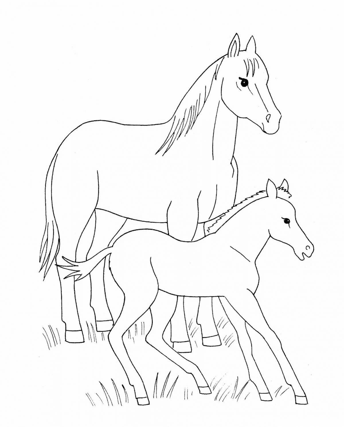 Rampant foal coloring pages for kids