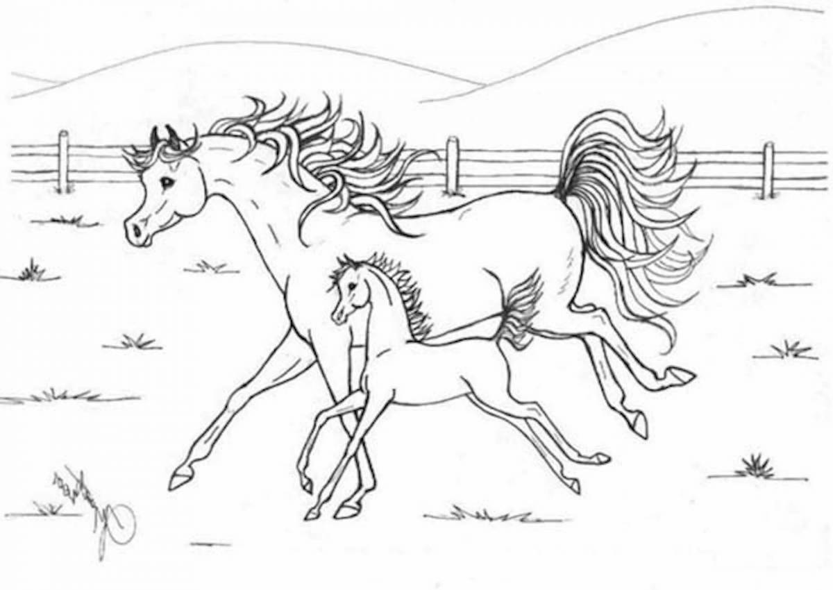 Coloring page of play foal for kids