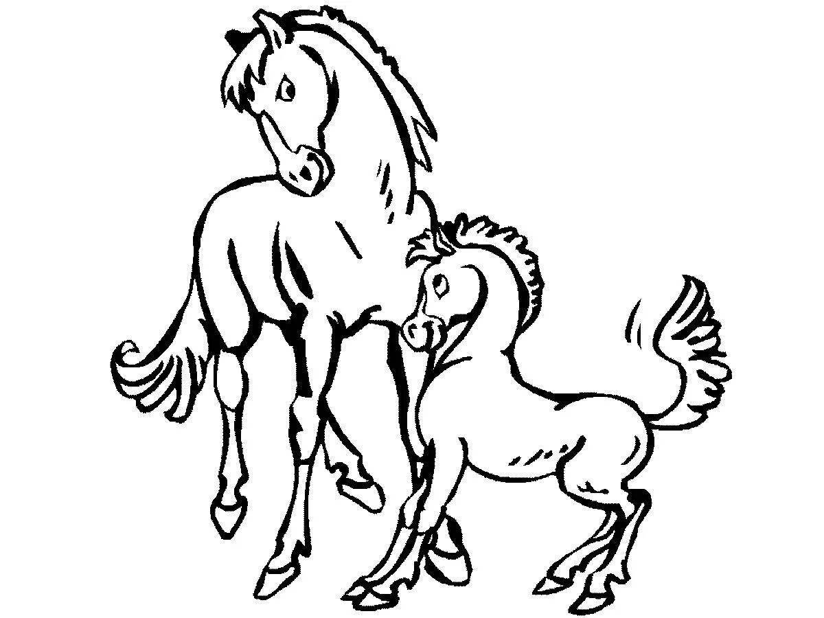 Coloring page blissful colt for kids