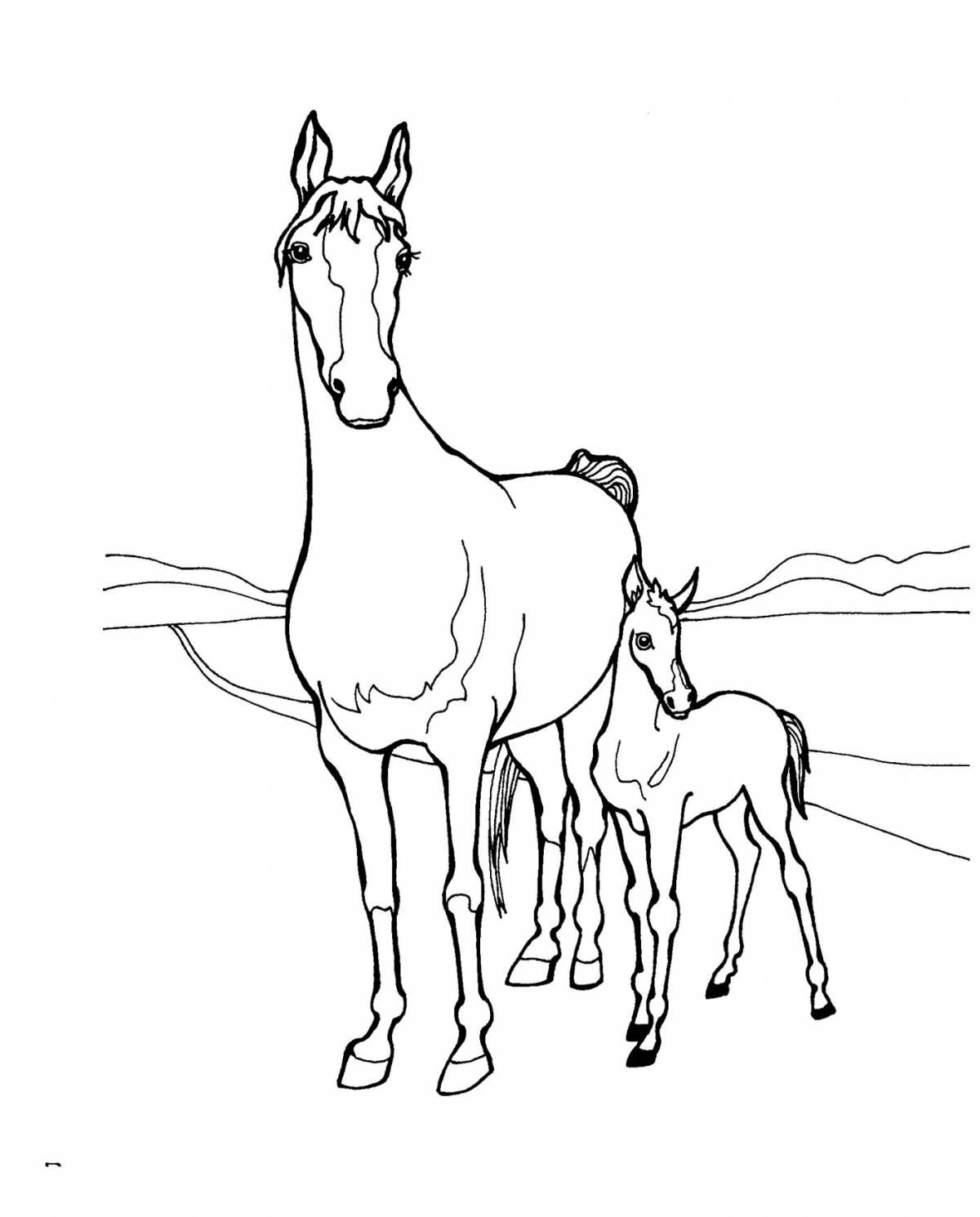 Coloring book calm colt for kids