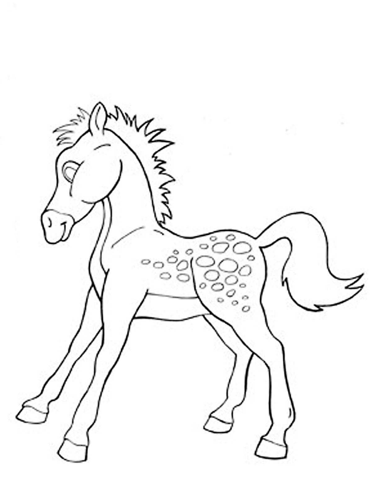 Great colt coloring for kids