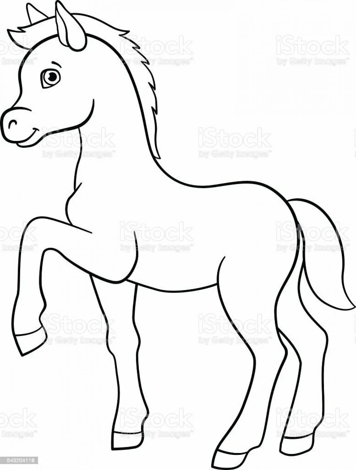 Coloring book noble foal for children