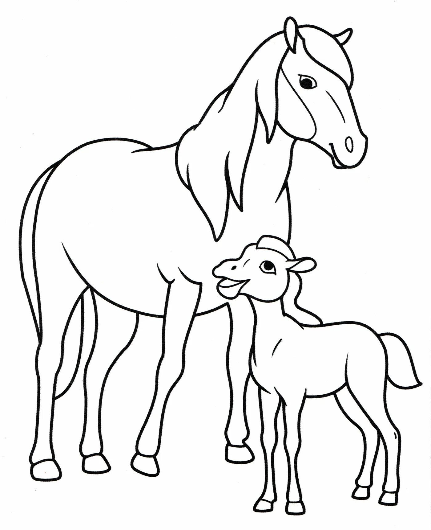Foal for kids #3
