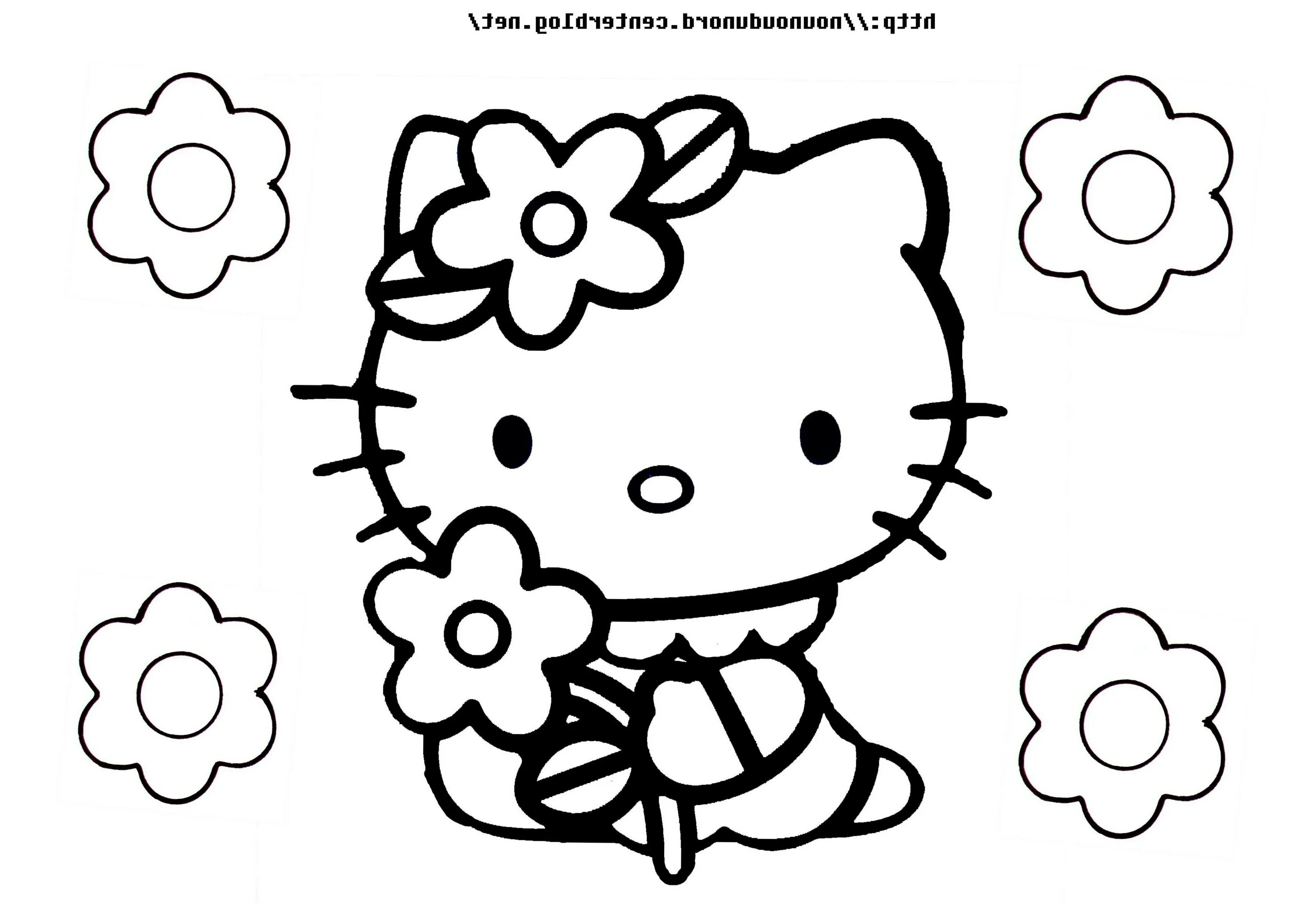 Hello kitty mini #5