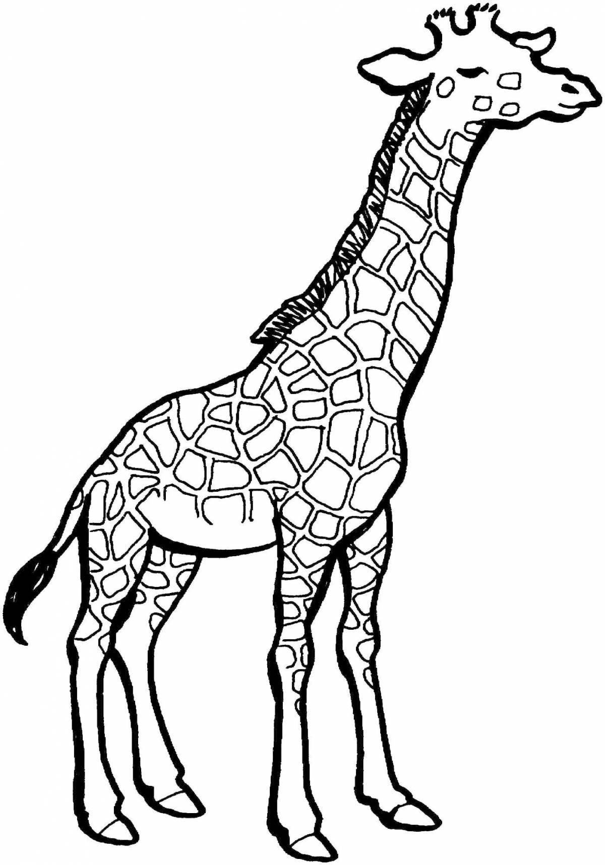 Violent giraffe coloring book for kids