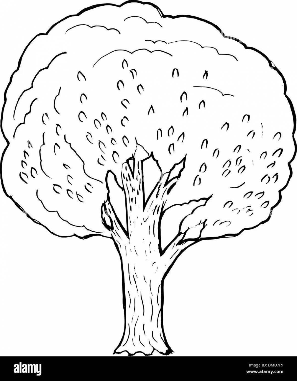 Colorful poplar coloring page for kids
