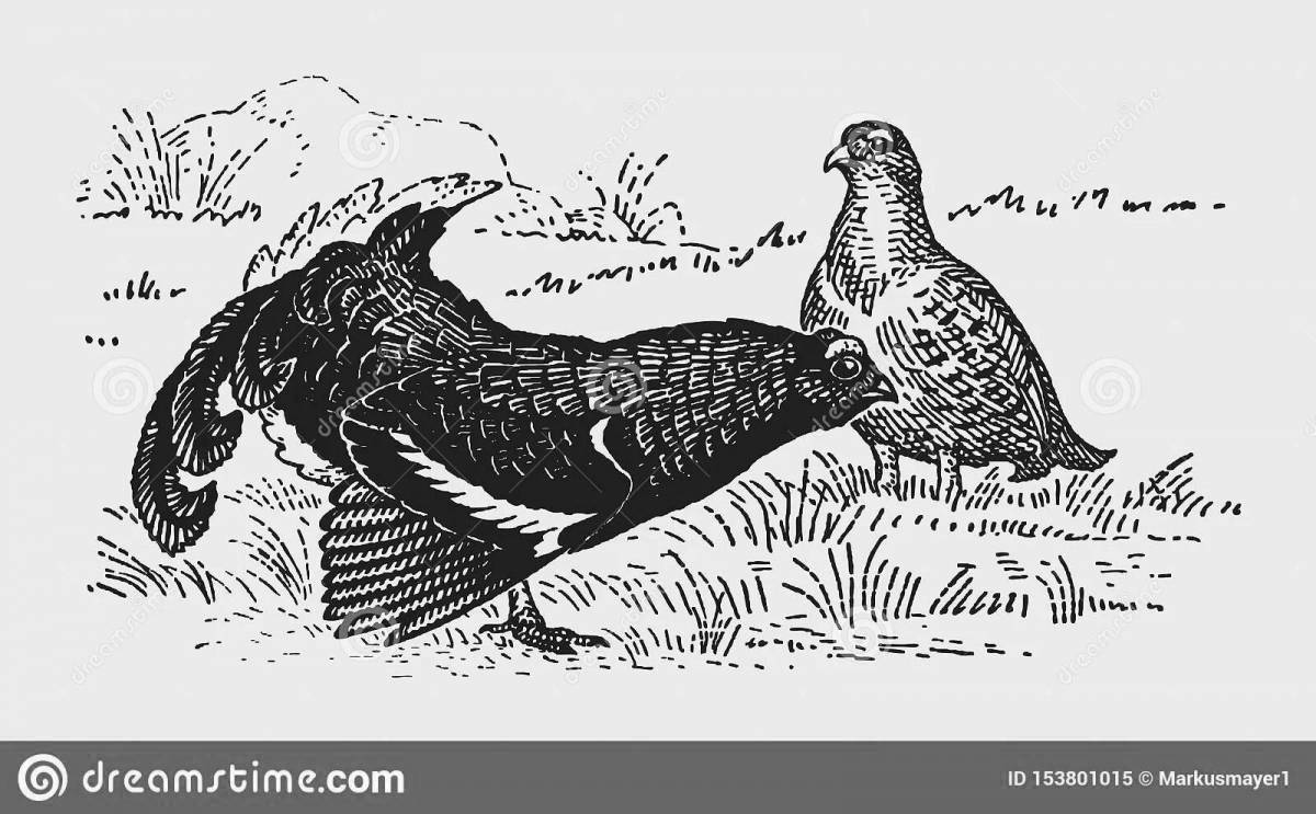 Coloring book beckoning black grouse and fox