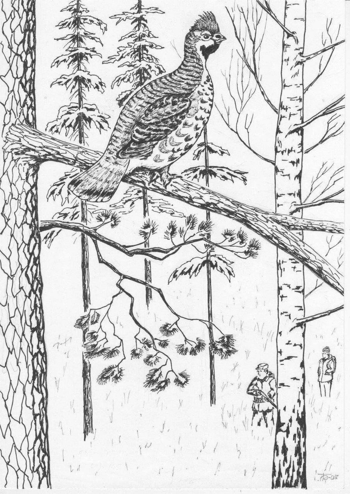 Раскраска Раскраска лучистый тетерев и лиса