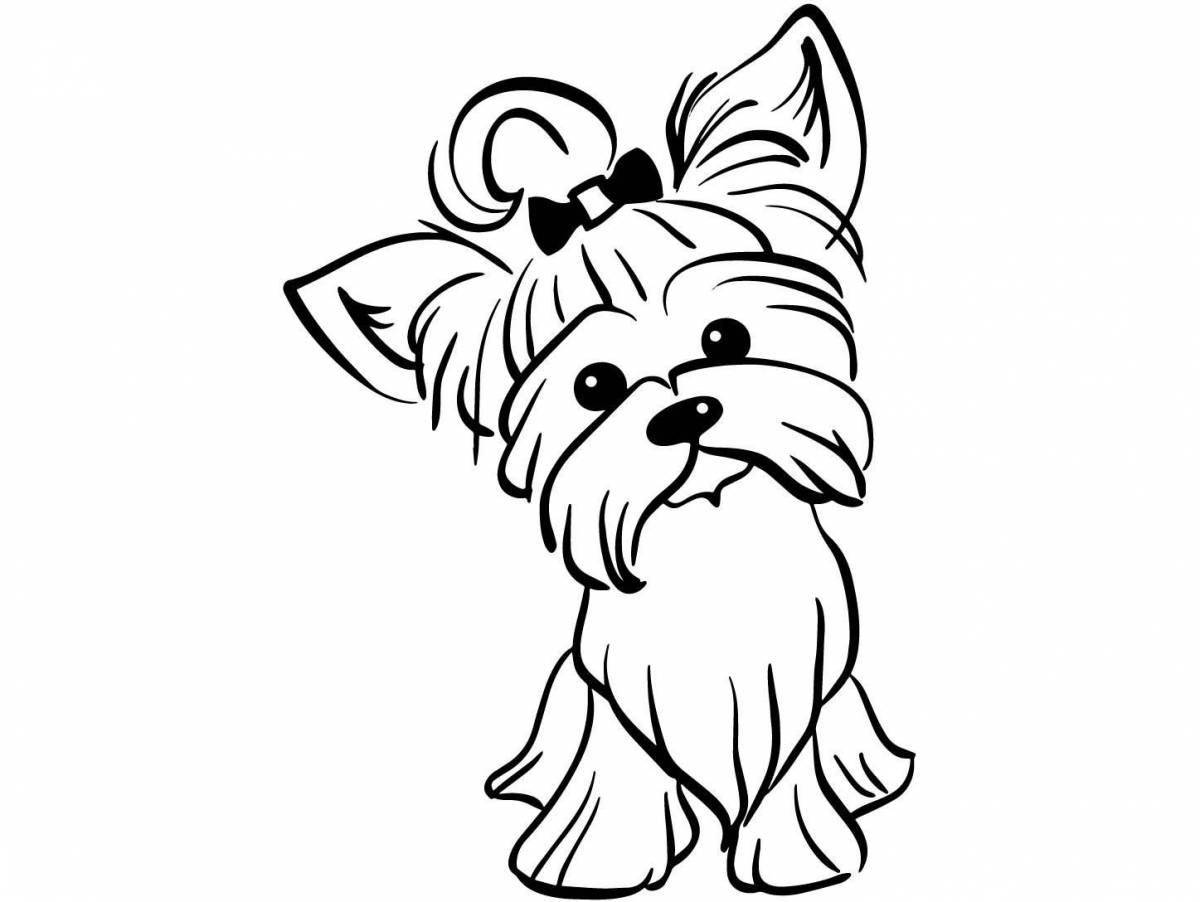 Live Yorkshire Terrier coloring book