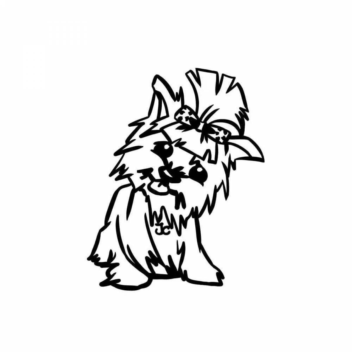 Colouring friendly yorkshire terrier
