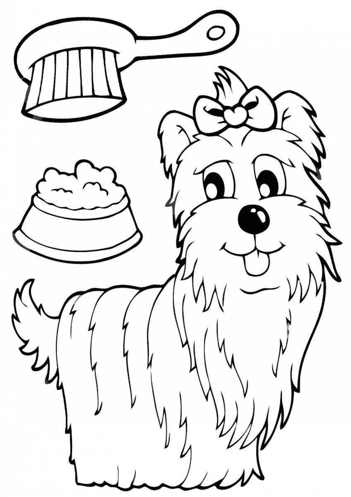 Colouring fluffy yorkshire terrier