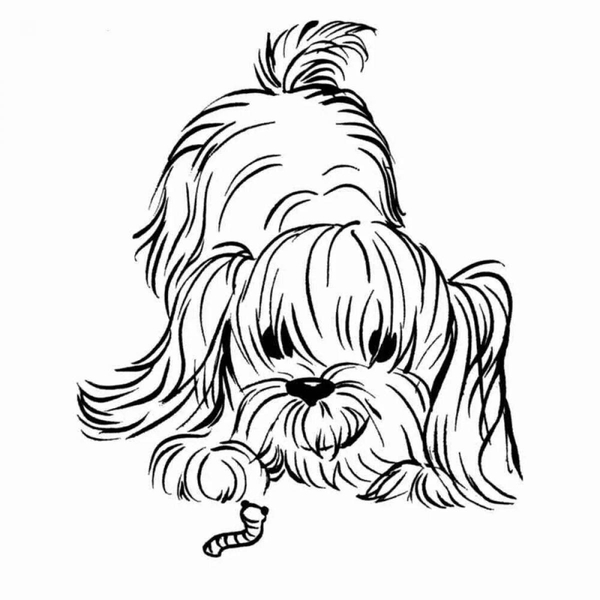 Charismatic yorkshire terrier coloring page