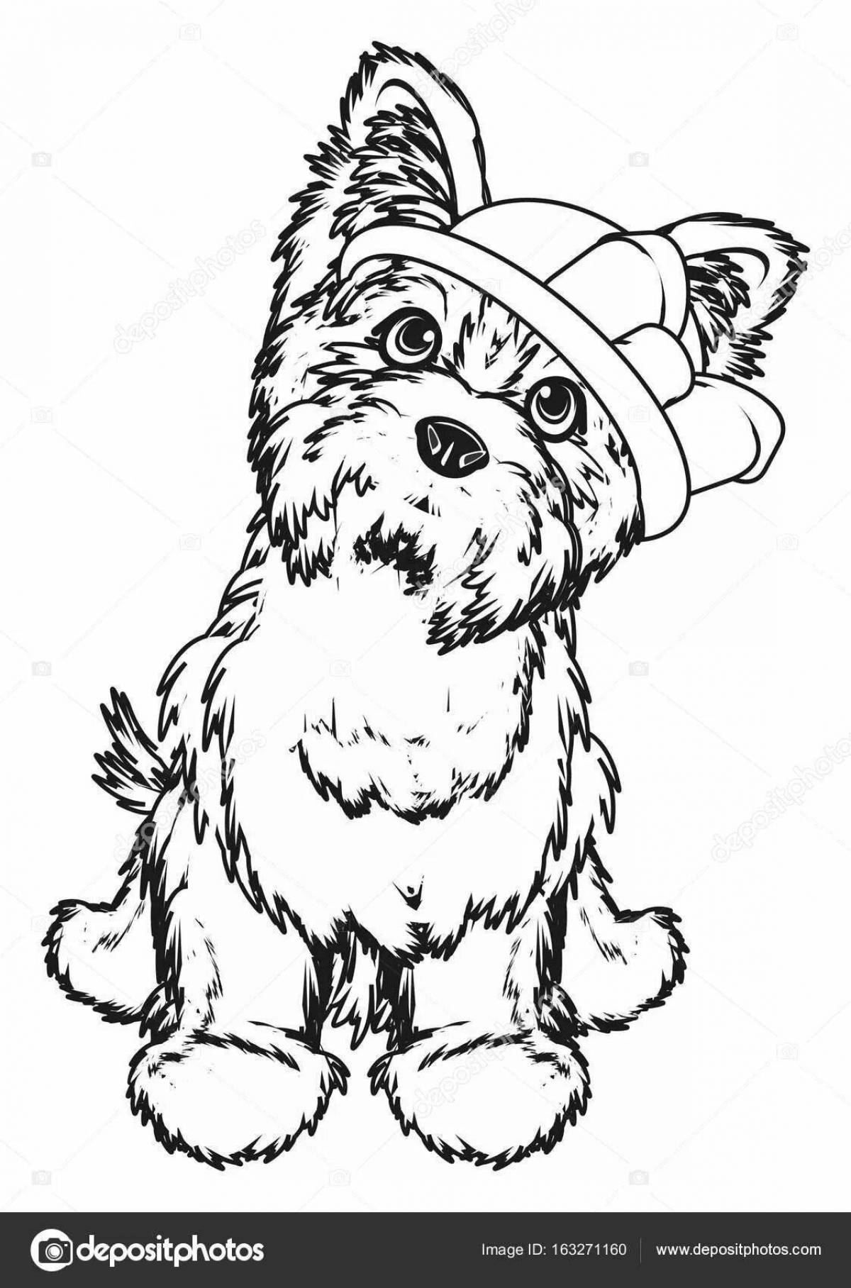 Coloring page energetic yorkshire terrier