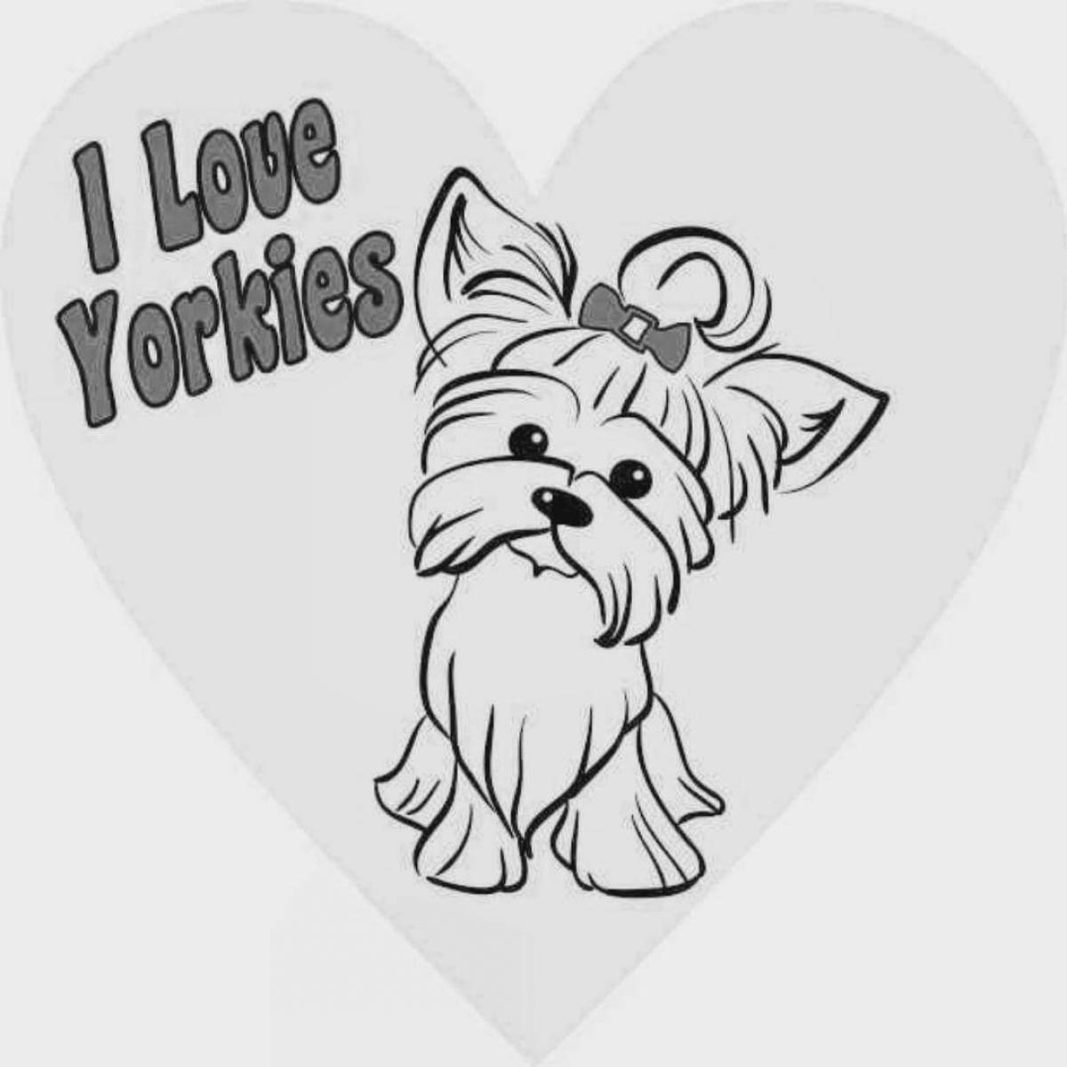 Coloring book inquisitive yorkshire terrier