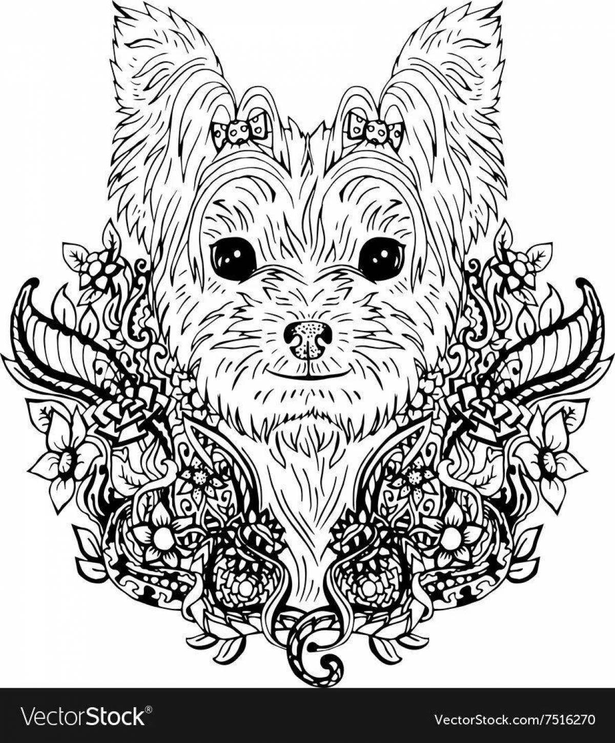 Раскраски Рисунок собаки йоркширский терьер