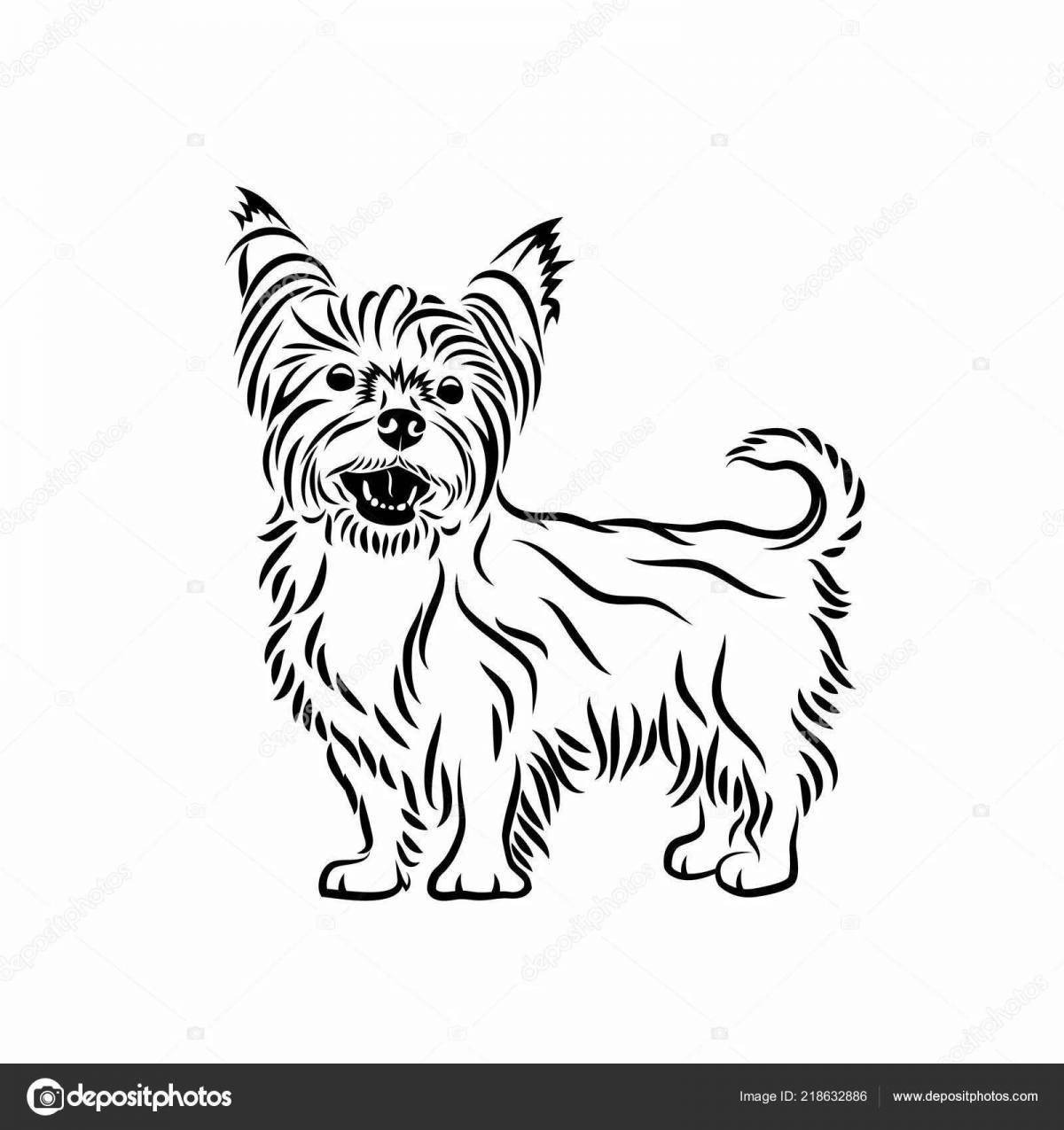 Coloring book witty yorkshire terrier