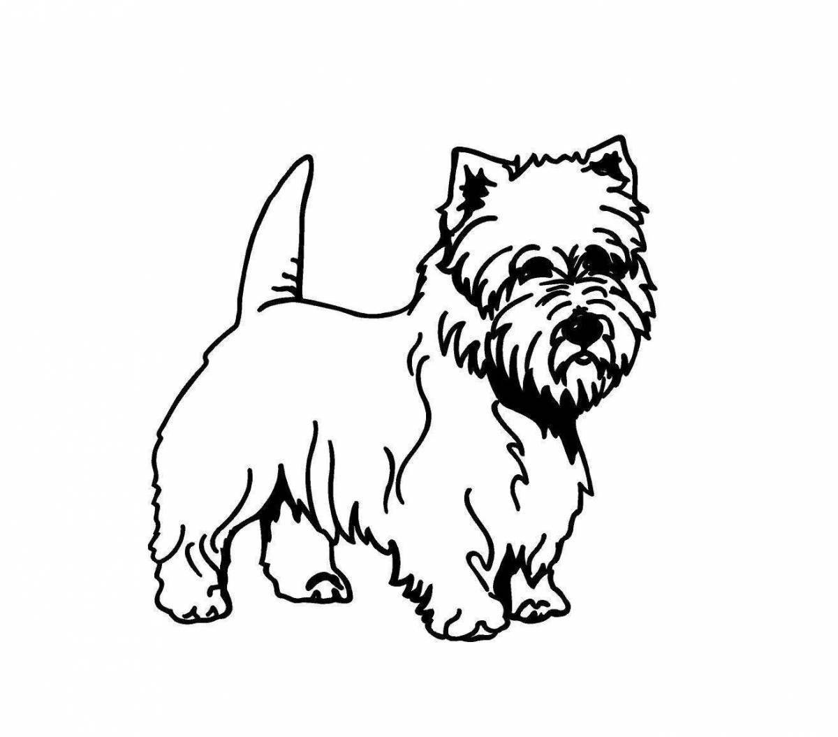 Coloring book smart yorkshire terrier