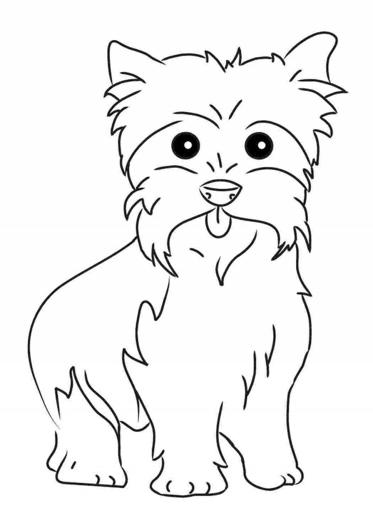 Colouring perky yorkshire terrier