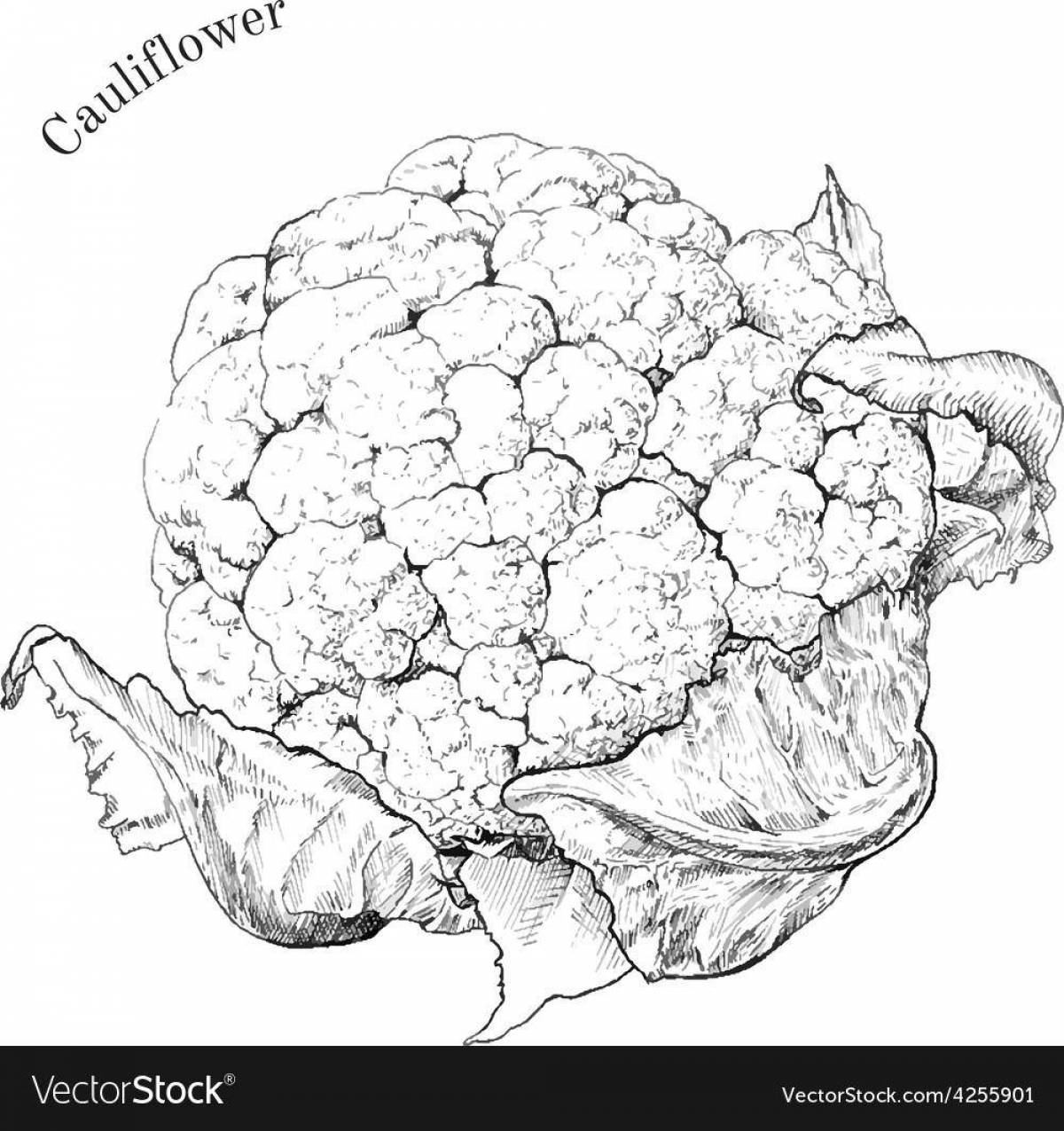 Attractive broccoli coloring book for kids