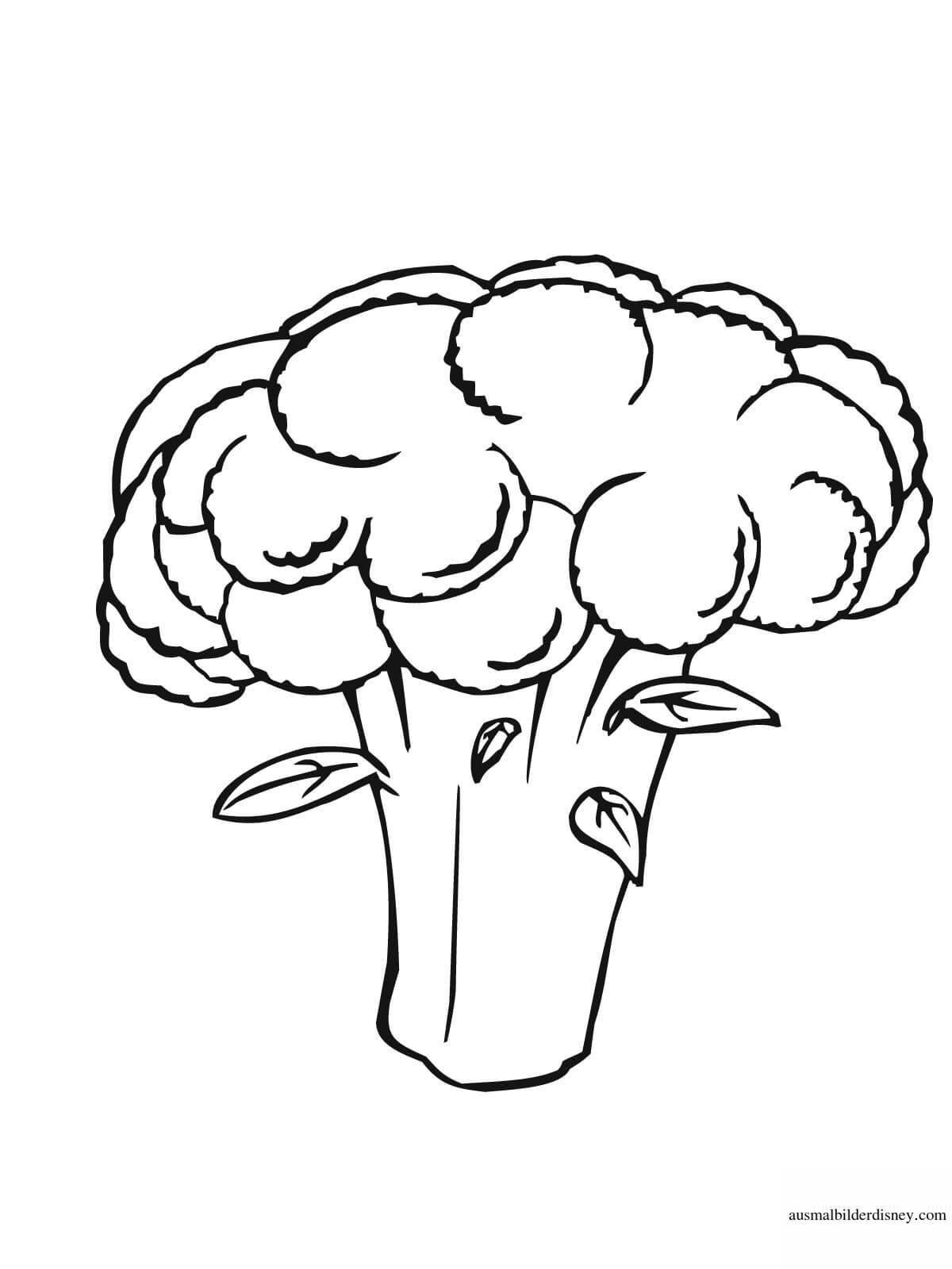 Colorful broccoli coloring page for kids