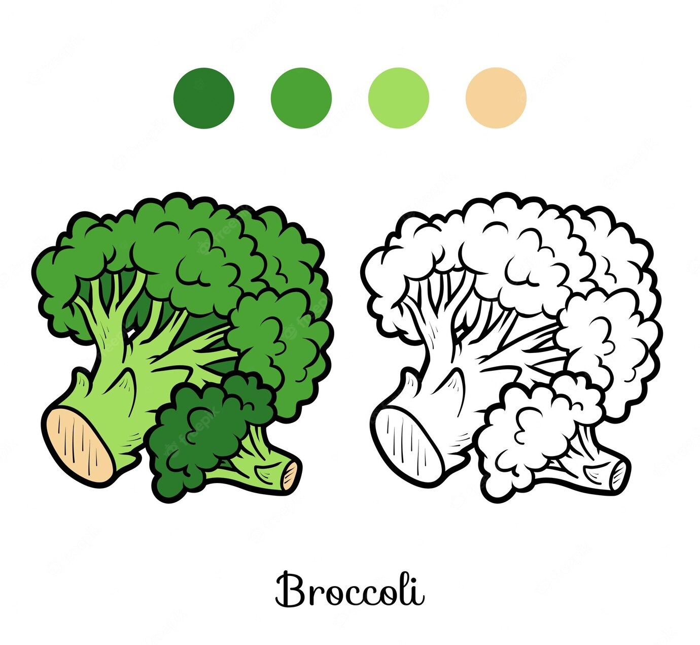 Broccoli for kids #17
