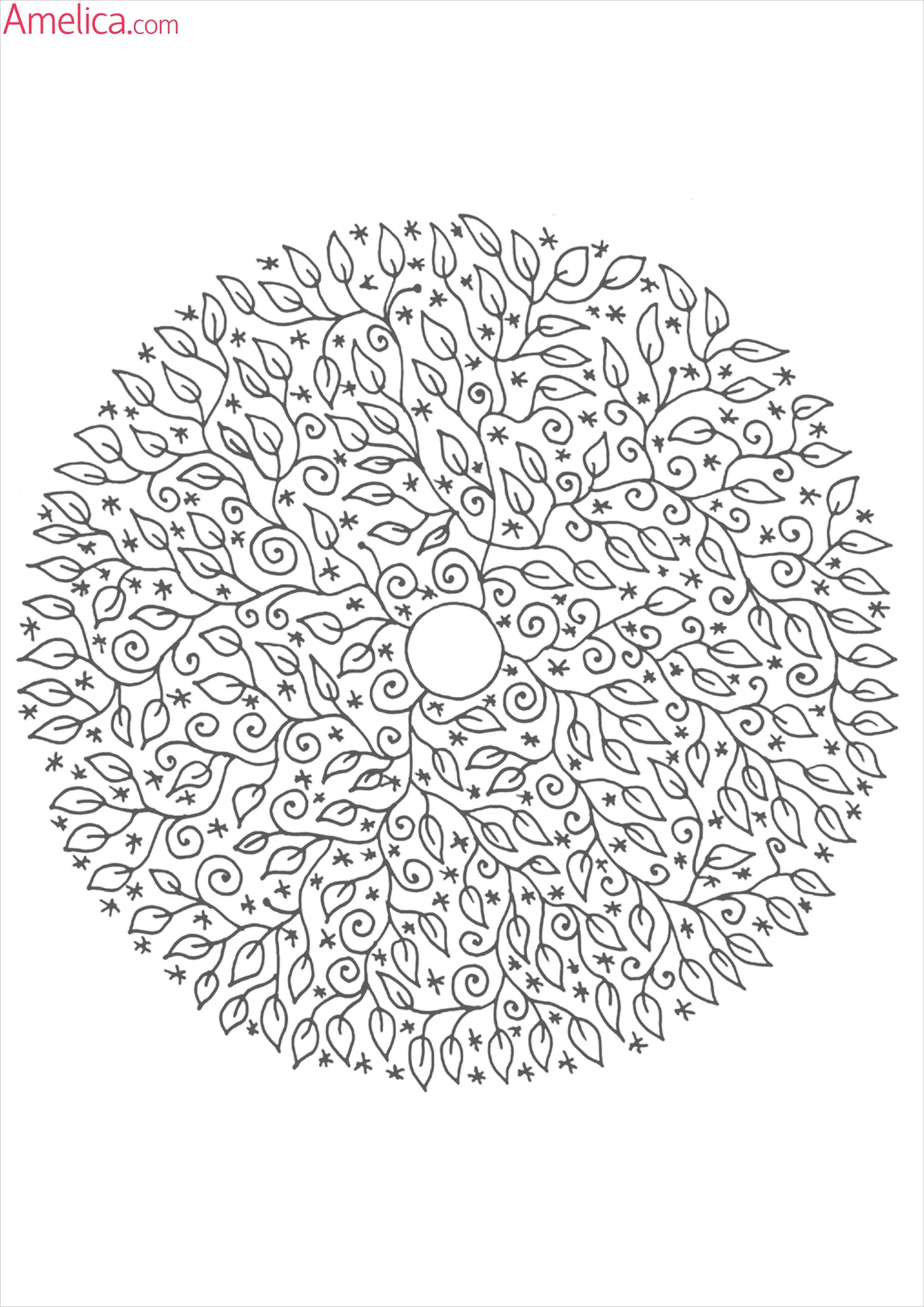 Photo Attractive coloring black circle pen