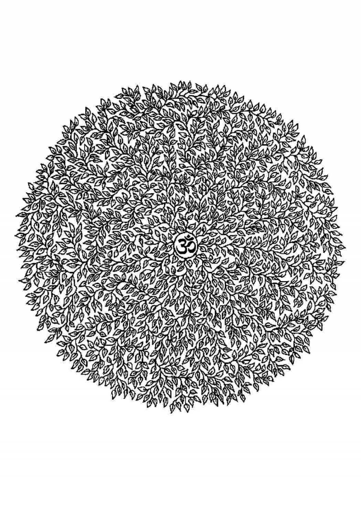 Photo Black pen circle #2