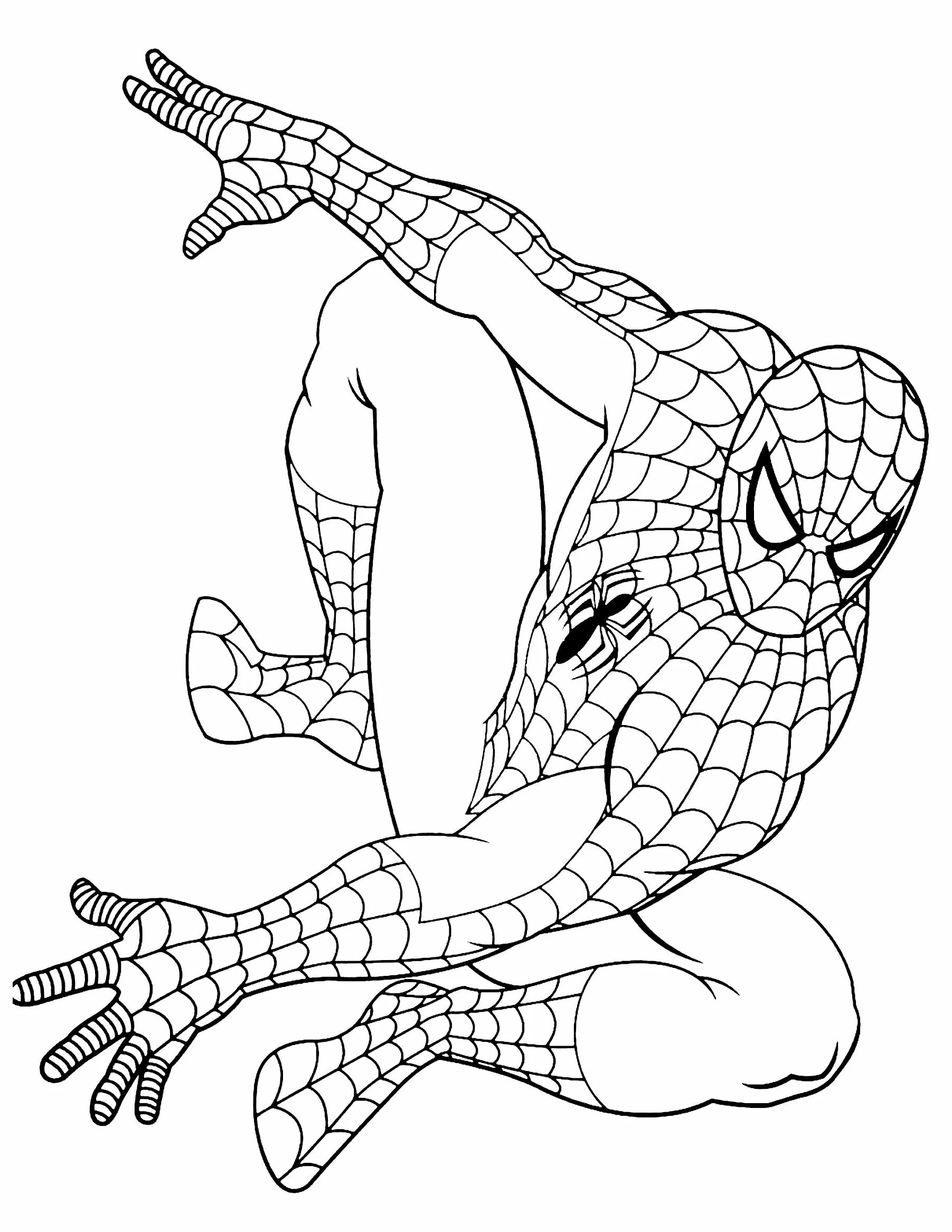 Coloring book animated spider-man antistress